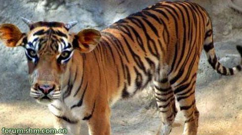 [��ˮ]���˵���Ϣ