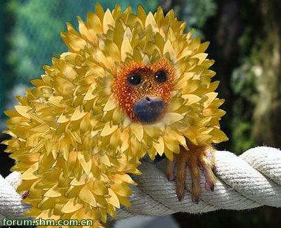 [��ˮ]���˵���Ϣ