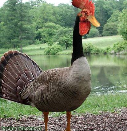 [��ˮ]���˵���Ϣ