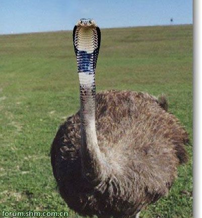 [��ˮ]���˵���Ϣ