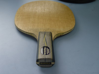 ����YESCֱ�壨95���£�