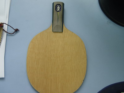 ����YESCֱ�壨95���£�