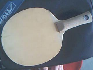 �����������ػ�ֱ��