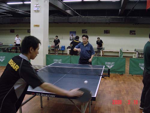 [��ͼ]3��19�գ����գ���Ӣ�������ֲ�����ά����������ʵ