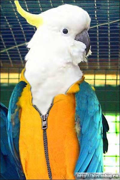 �����ϴ�������������