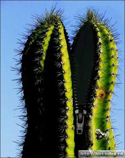 �����ϴ�������������