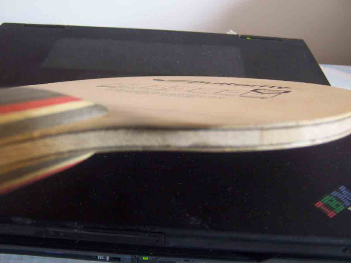 ֱ����̼����