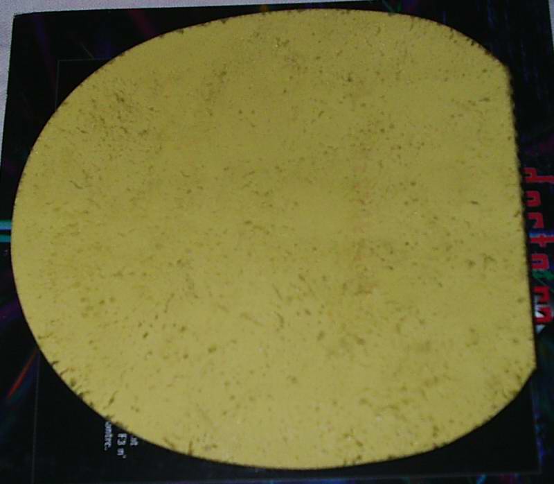 ������ĺ�������(VISCARIA-FL)