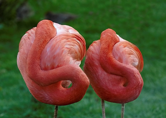 [��ˮ]���˵���Ϣ