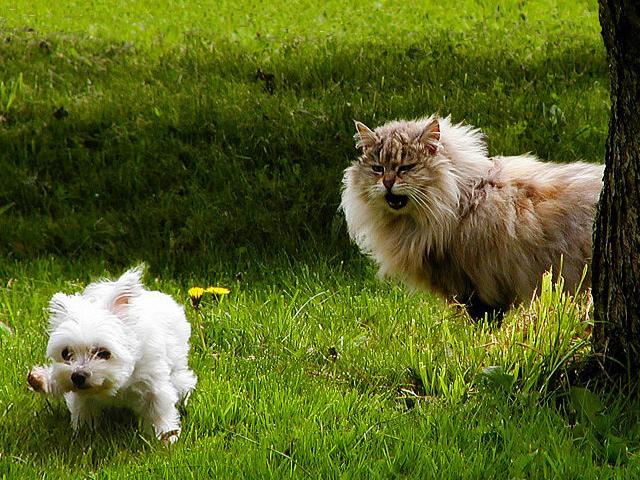 [��ˮ]���˵���Ϣ