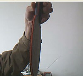 ���۶���˹�ؿ�ֱ��