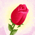 ƹ0652Աʵ