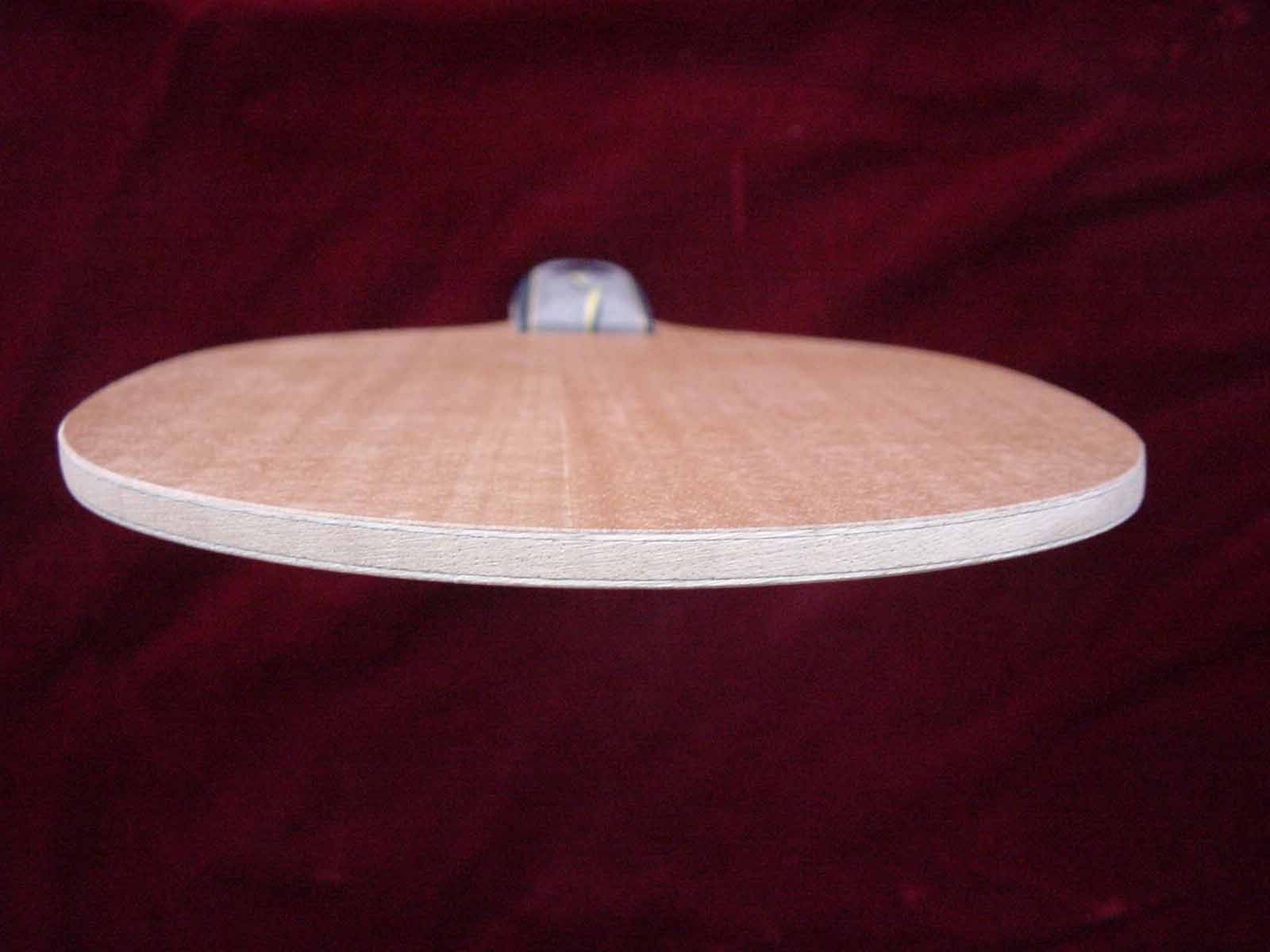 ר�Ĵ�һ֧�壬������ֱ֧�弰�׽���