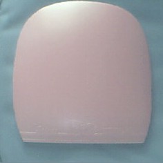 TSPֱ
