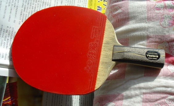 ��YCA9.7���¡�