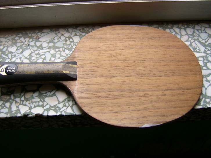 ���������� 17�� ydm����壩����