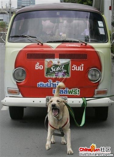 [��ˮ]ȼ���Ǽۺ�