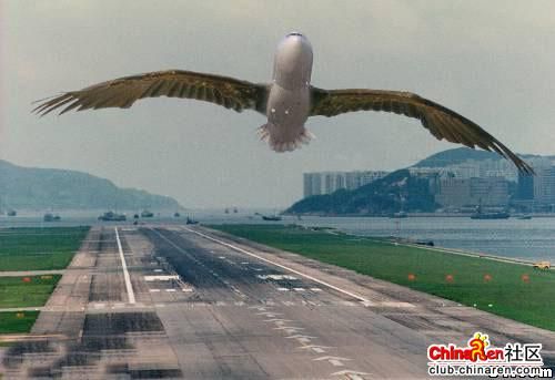 [��ˮ]ȼ���Ǽۺ�