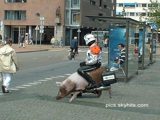 [��ˮ]ȼ���Ǽۺ�