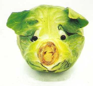 [��ˮ]���˵���Ϣ