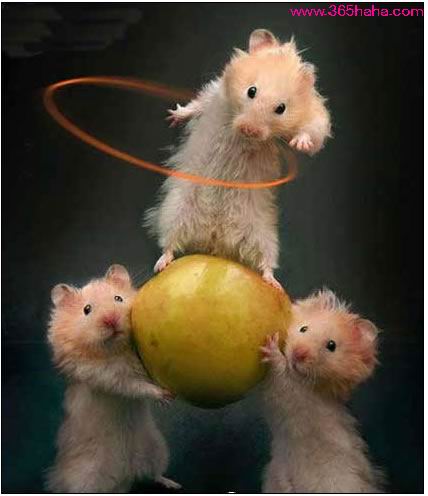 [��ˮ]���˵���Ϣ