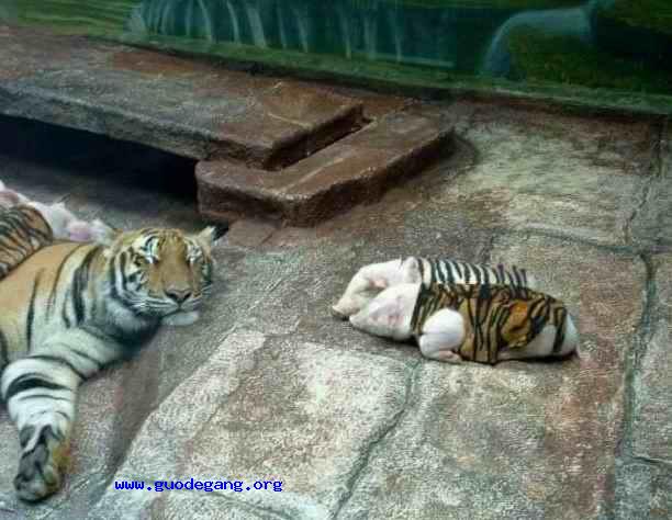 [��ˮ]���˵���Ϣ