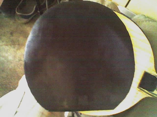 ���۳���vis������������������׽�460����