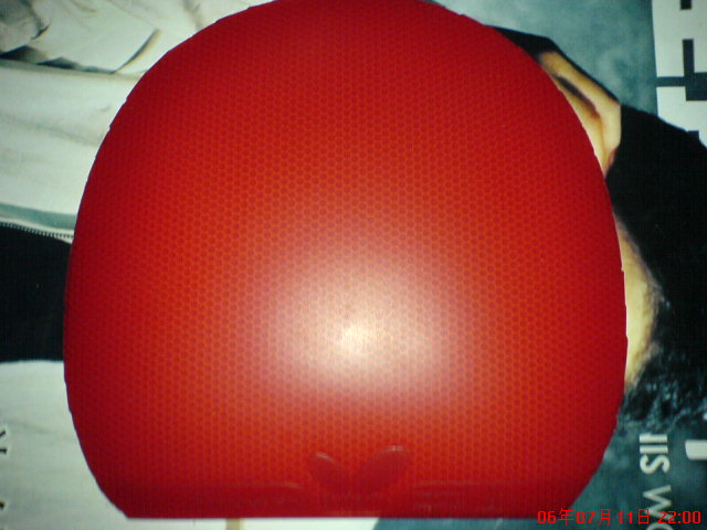 �ͼ�ת�ô�������BRYCE-FX�׽���.������