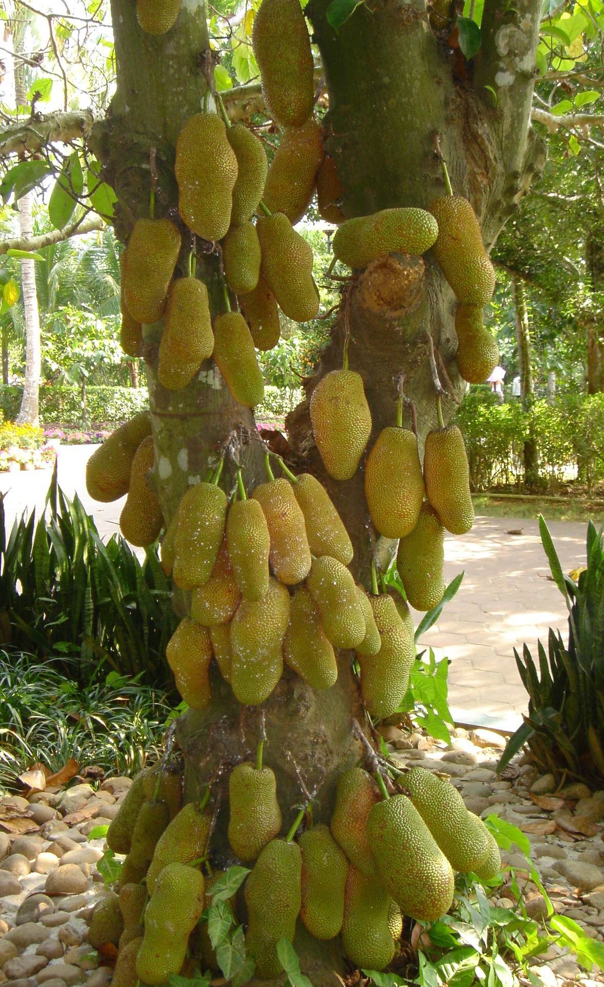 ��Ӣ��չ ֮��