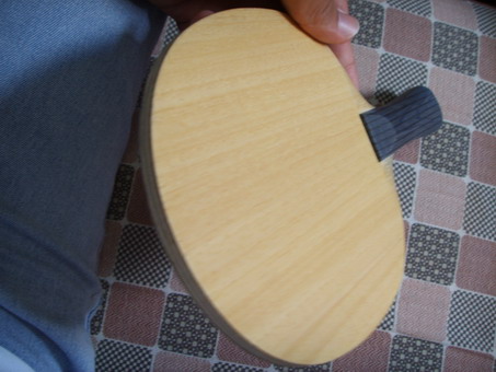 98����ķ̼�ʽ��� ����450������������