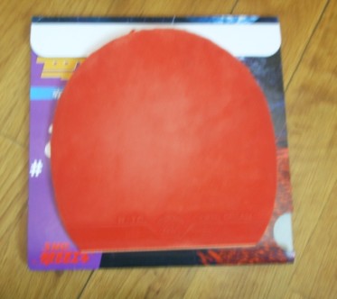 ���˳����׽�