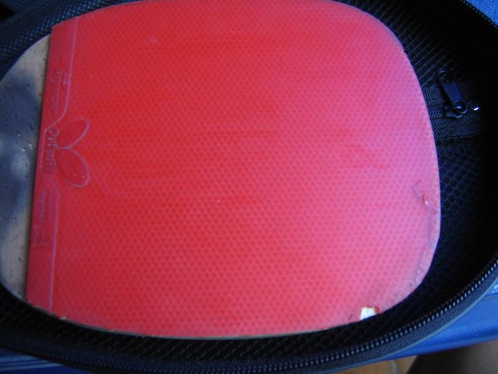 Sypress-s+Bryce 650����ݣ���ɫ��ͼ��