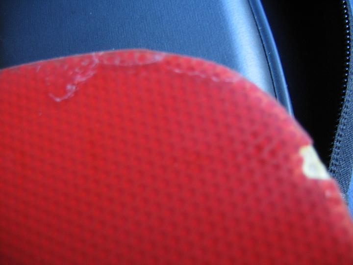 Sypress-s+Bryce 650����ݣ���ɫ��ͼ��