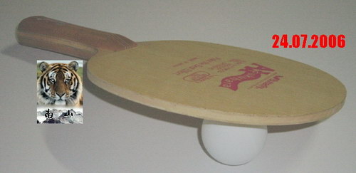 ������� ������ԭ�� 320Ԫ ���