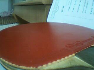 �����Ӻͽ�Ƥ��һ�������л�![����ͼ]