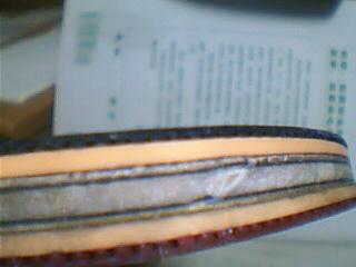 �����Ӻͽ�Ƥ��һ�������л�![����ͼ]