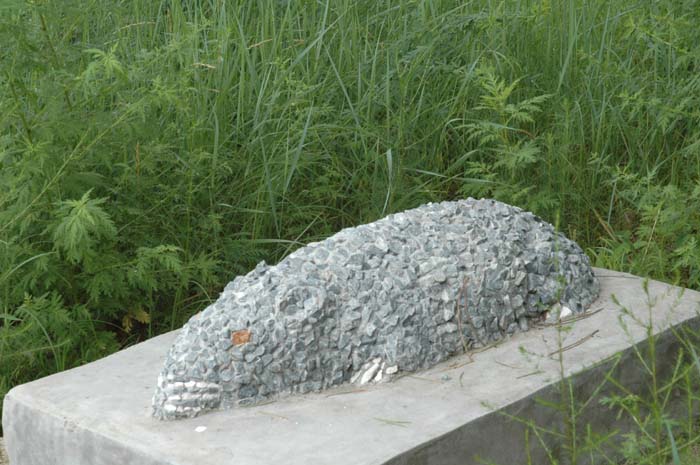 [��ͼ]12��Ф