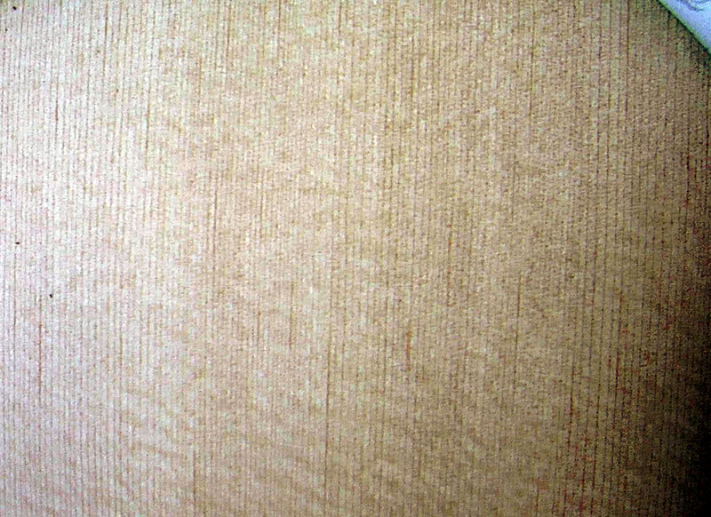ºƷʩ̼ƣ̣