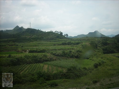 �����ۻ�������