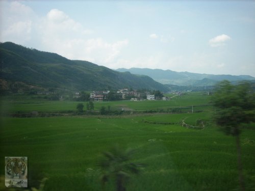 �����ۻ�������