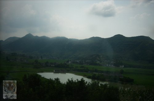 �����ۻ�������