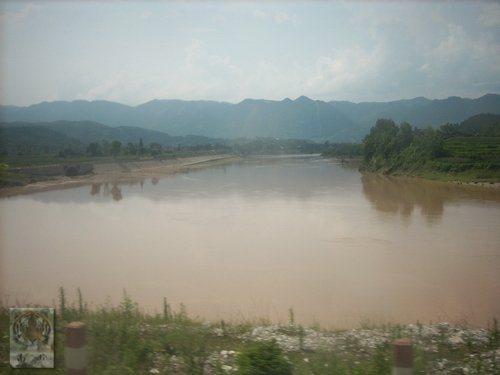 �����ۻ�������