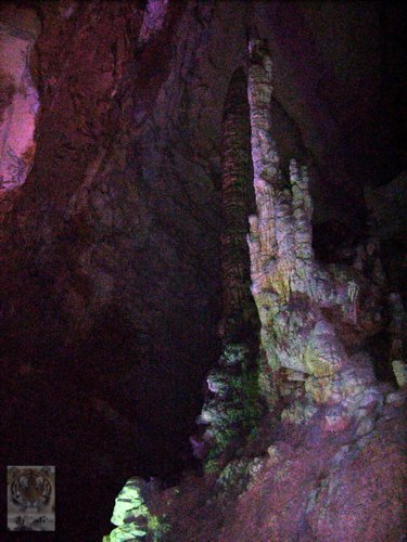 �����ۻ�������