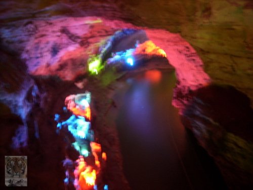 �����ۻ�������