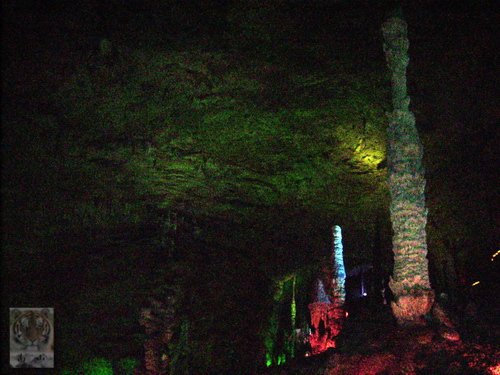 �����ۻ�������