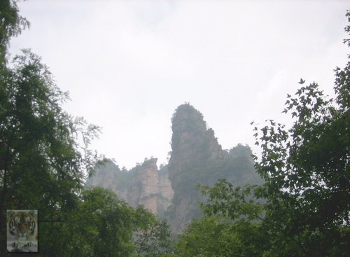 �����ۻ�������