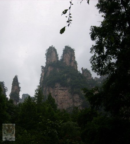 �����ۻ�������