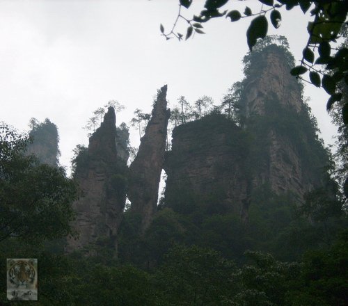 �����ۻ�������