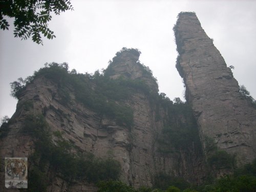 �����ۻ�������