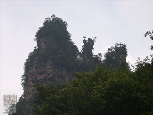 �����ۻ�������